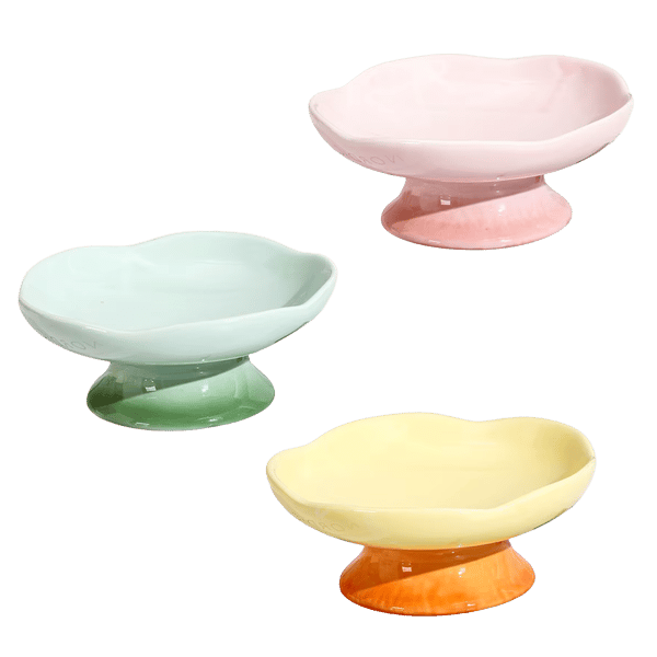 Ceramic Raised Bowl