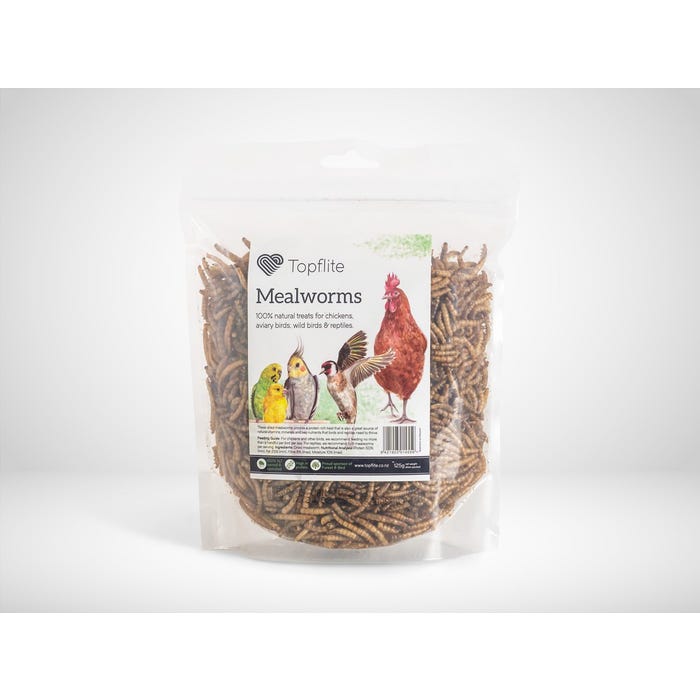 Topflite Dried Mealworms 125g