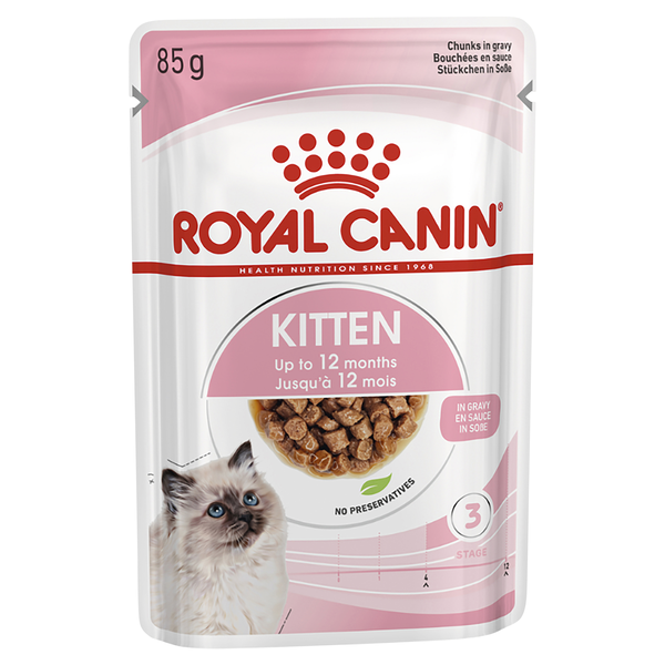 Kitten Gravy