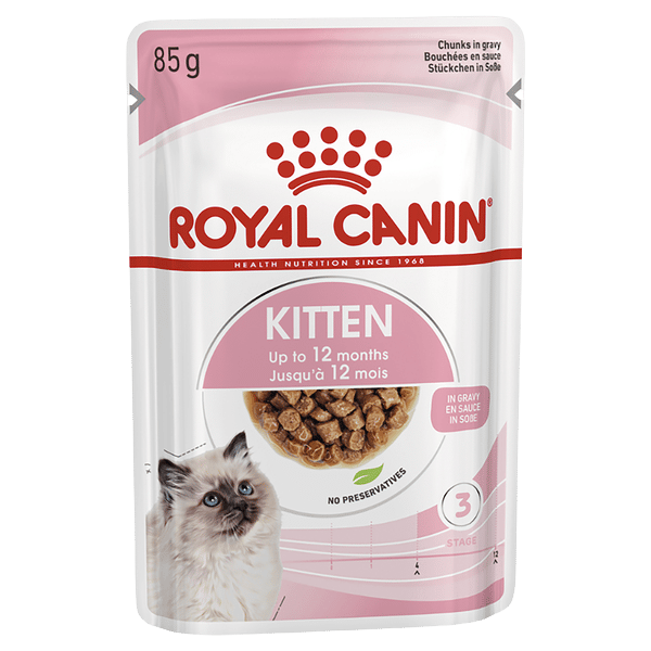Kitten Gravy