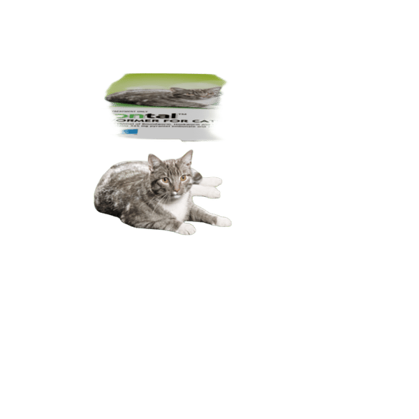 Drontal All Wormer For Cats Up To 6kg - Single