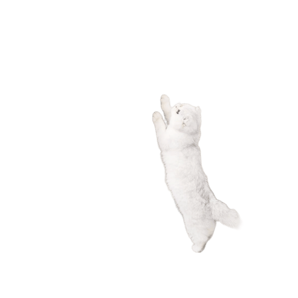 Sofa Arm Scratching Pad