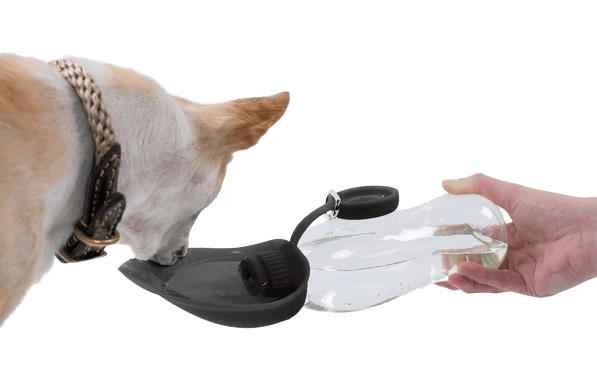 Travel Feeder
