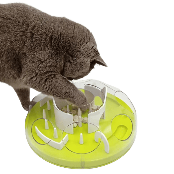 Interactive Puzzle Cat Feeder