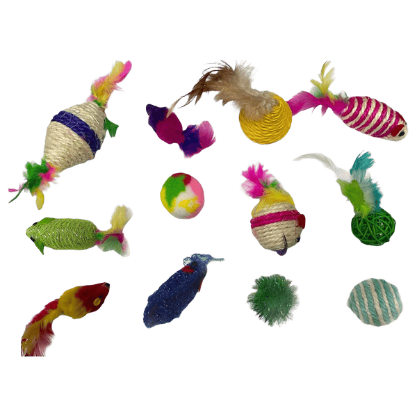 Kitty Activity Pack