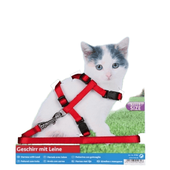 Trixie Kitten Harness & Lead