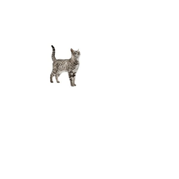 Proplan Veterinary Diet Feline Gastrointestinal Pouches