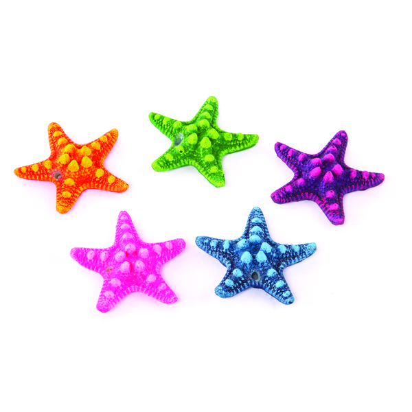 Kazoo Mini Starfish - 5 Pack