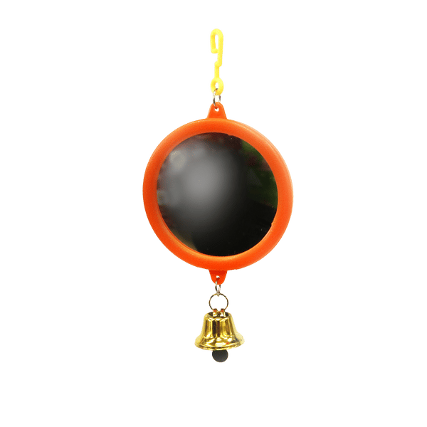 Mirror And Bell Bird Toy