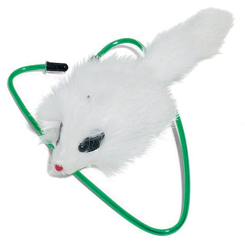 A-Door-Able Fur Mouse Bungee Cat Toy
