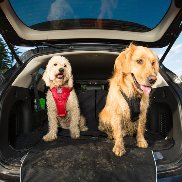 Kurgo Rover Cargo Cape