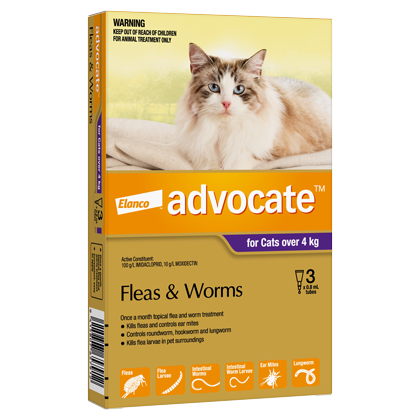 Advocate Flea Treatment For Cats Over 4kg - 3 Pack