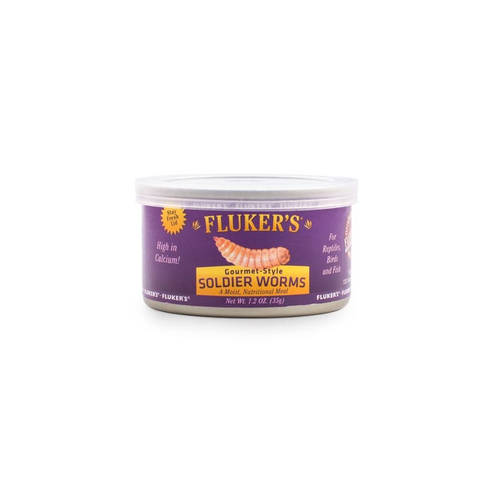 Fluker's Gourmet Soldier Worms