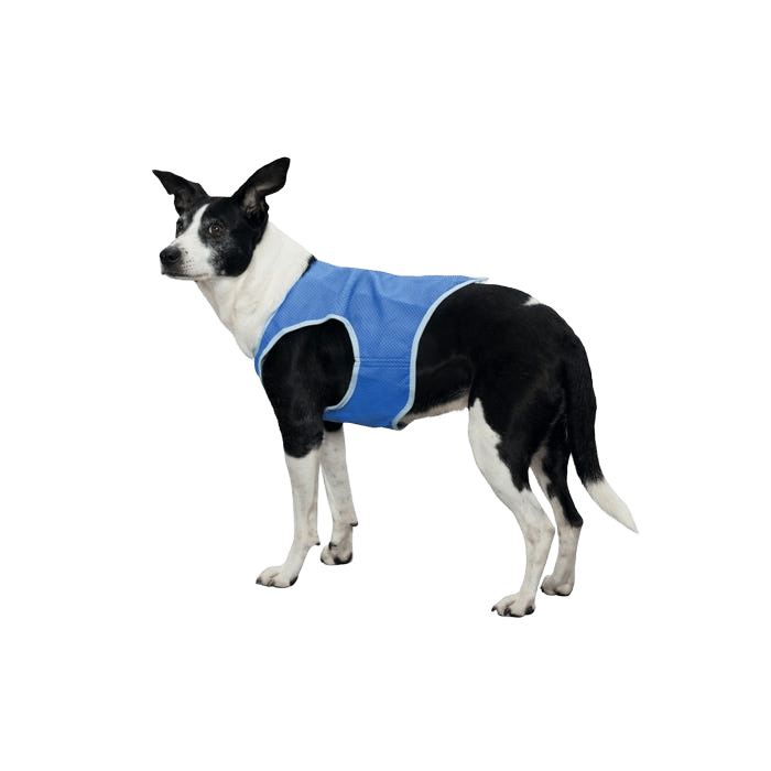 Trixie Cooling Vest For Dogs S - 25cm