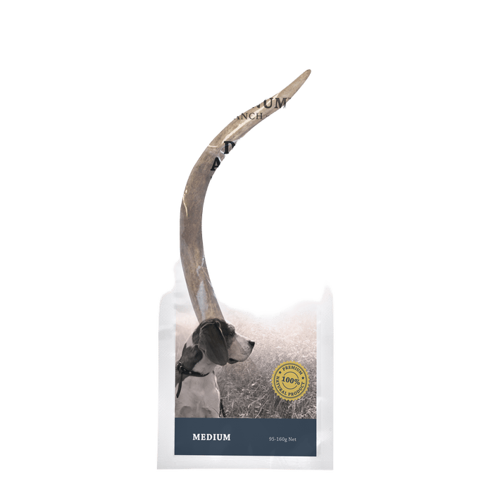 Platinum Ranch Medium Deer Antler Dog Treat 95g - 160g