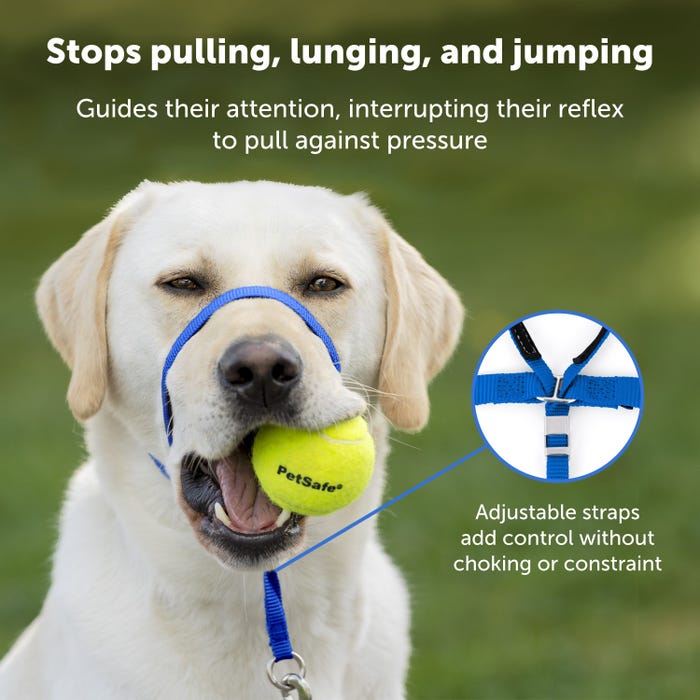 Easy Walk Black Head Collar For Large Dogs