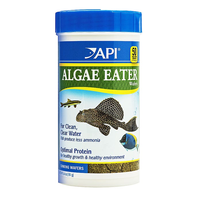 Api Algae Eater Wafers 181g