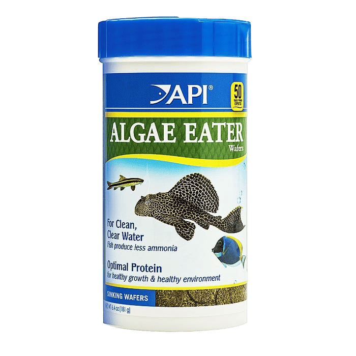Api Algae Eater Wafers 181g