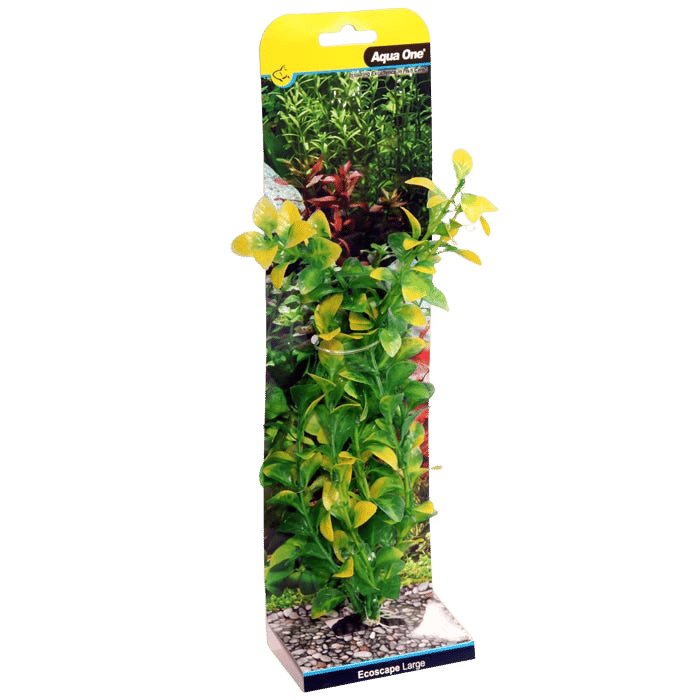 Aqua One Ecoscape Large Hygro Green