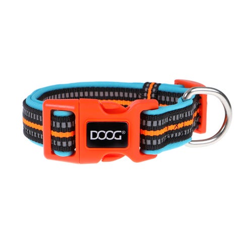 Doog Neon Collar Beethoven S