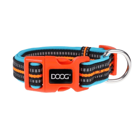 Doog Neon Collar Beethoven S