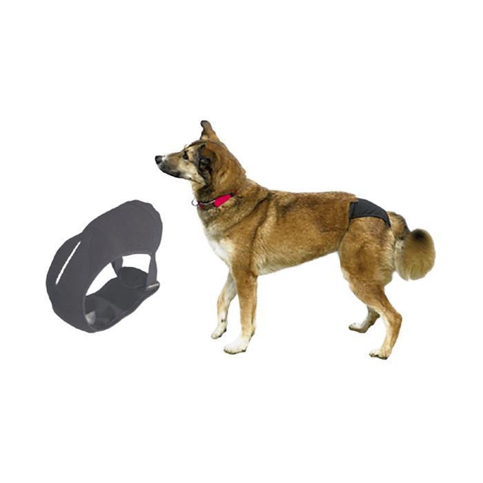 Trixie Protective Pants For Dogs - Small / Medium 32-39cm