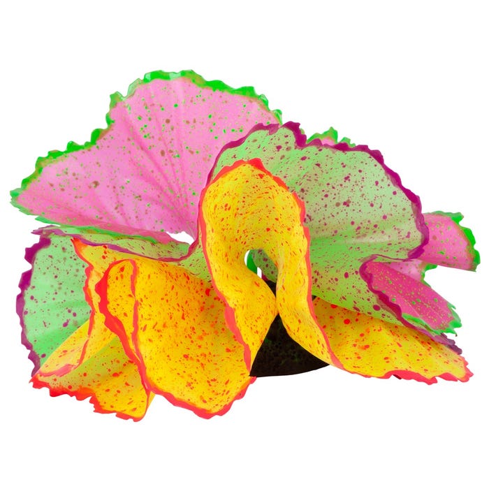 Kazoo Silicone Plant Sea Lettuce With Air Assorted Medium