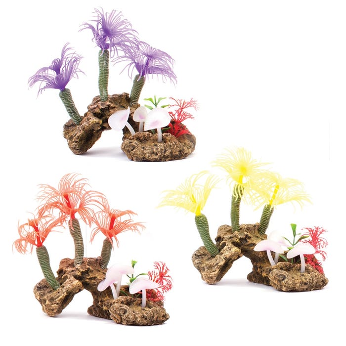 Kazoo Soft Tree Coral With Rock Medium