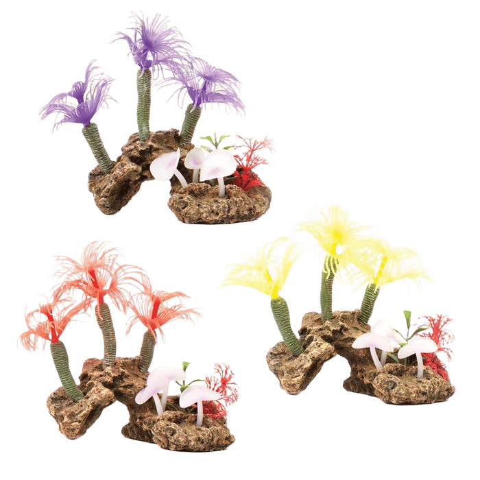 Kazoo Soft Tree Coral With Rock Medium