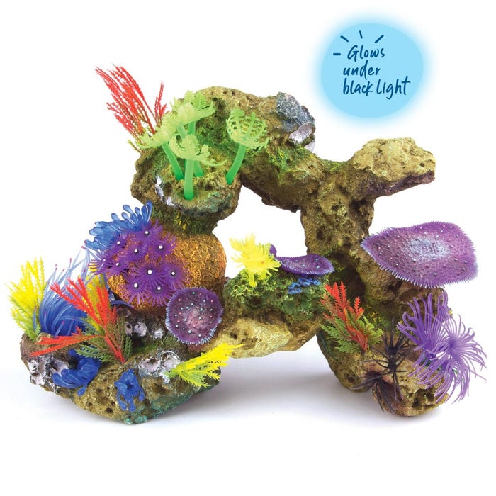 Kazoo Soft Coral With Rock And Plants Ex Large