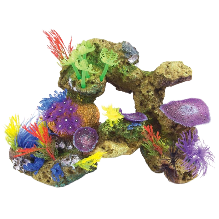 Kazoo Soft Coral With Rock And Plants Ex Large