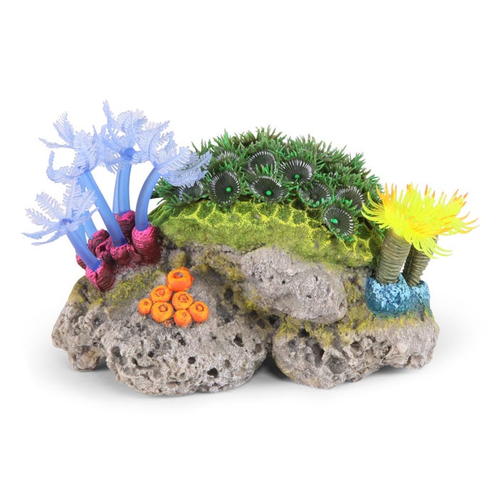 Kazoo Soft Coral Stone With Plants Medium