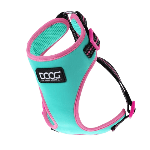 Doog Harness Rin Tin Tin Neoflex M