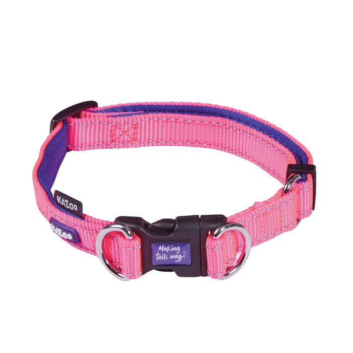 Kazoo Collar Active Easy Clip Bloom Burst Large