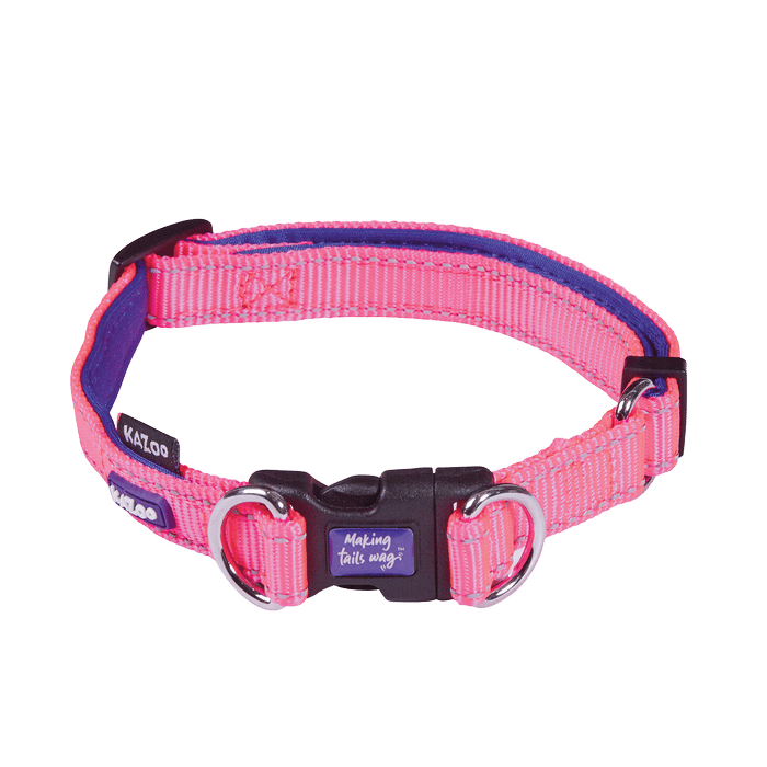 Kazoo Collar Active Easy Clip Bloom Burst Large