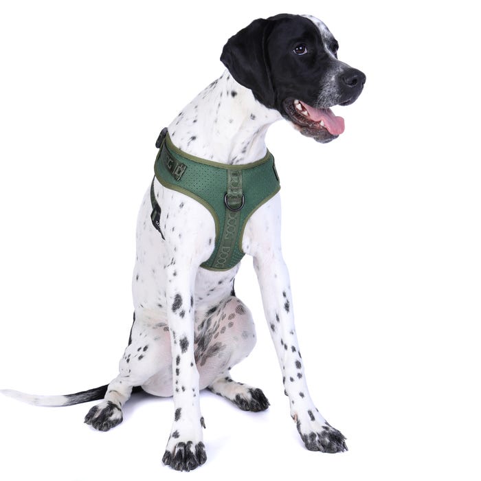 Doog Harness Neosport Green S