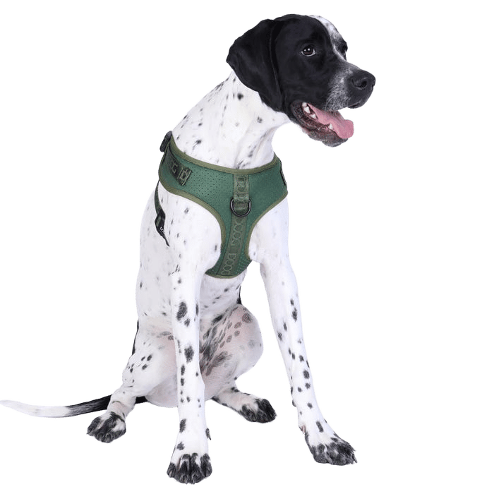Doog Harness Neosport Green M