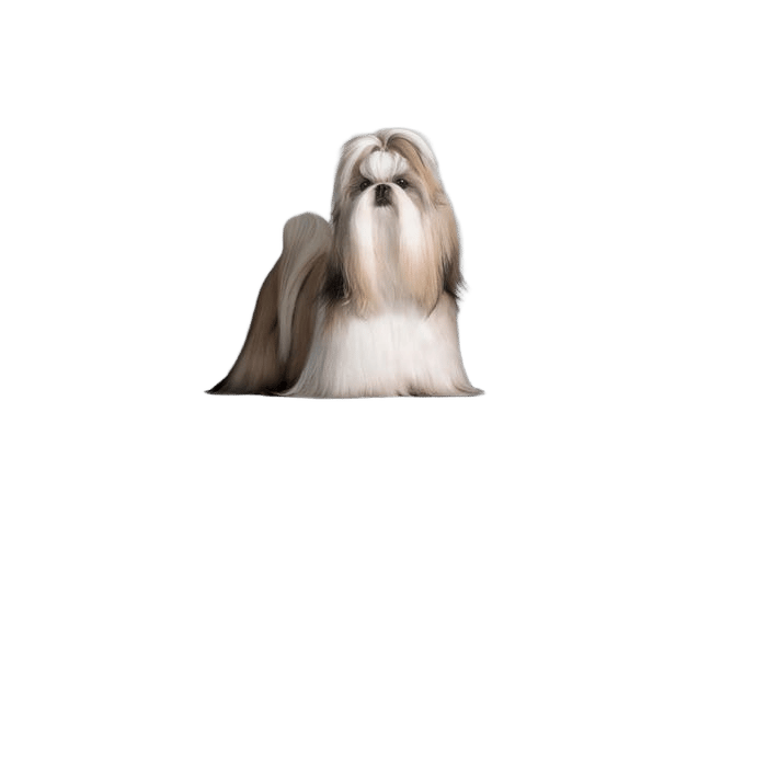 Pro Plan Dog Sensitive Skin & Stomach Small /Toy Breed 7kg
