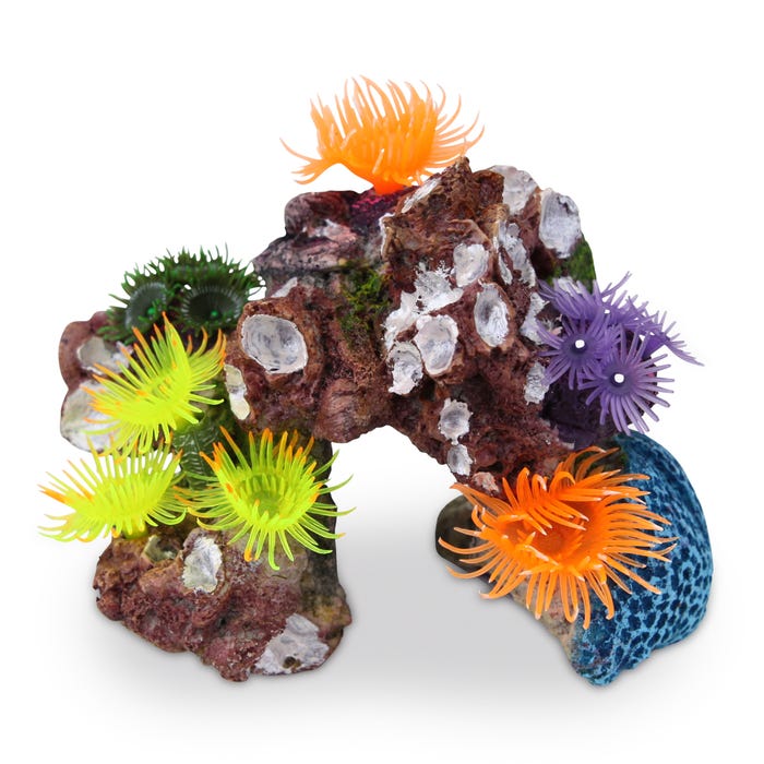 Kazoo Soft Coral Hideout With Shells And Plants M