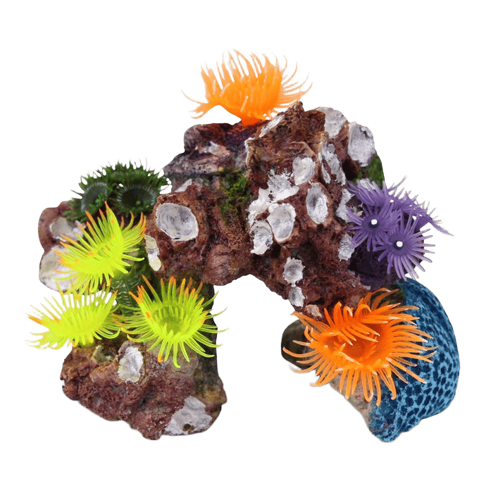 Kazoo Soft Coral Hideout With Shells And Plants M