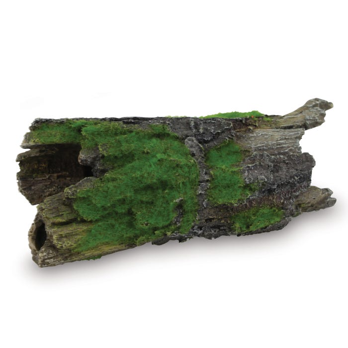 Kazoo Driftwood With Textured Moss Large
