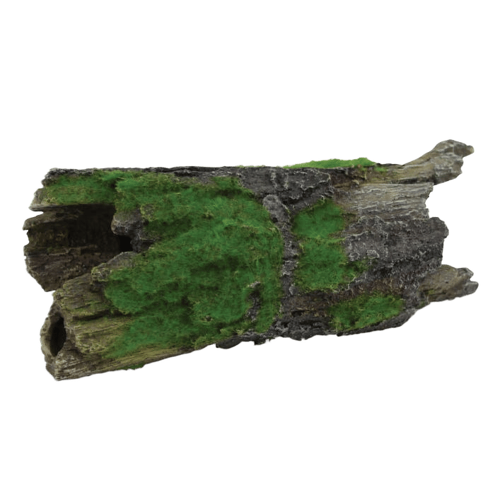 Kazoo Driftwood With Textured Moss Large