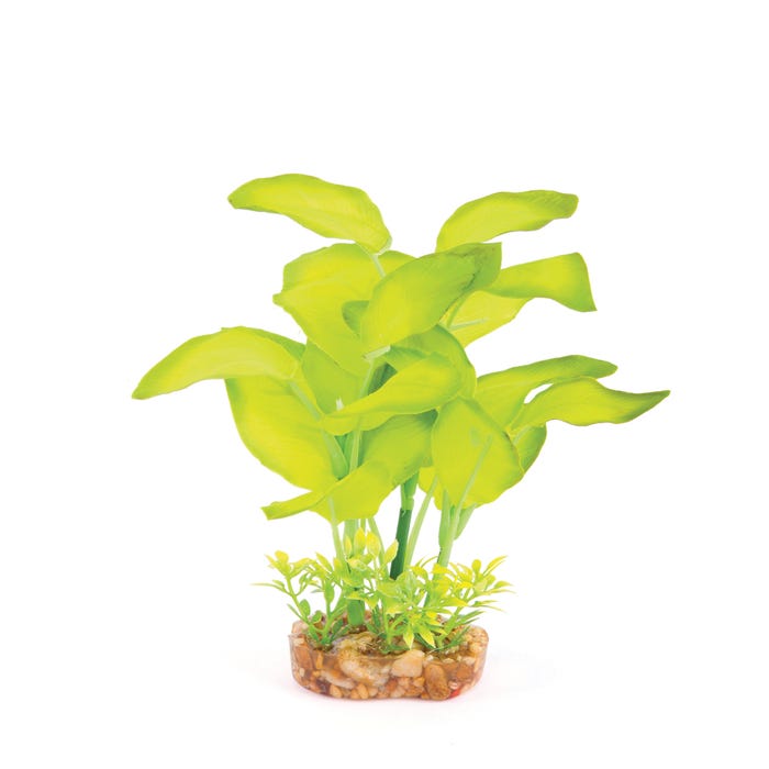 Kazoo Silk Plant Large Leaf Green Medium