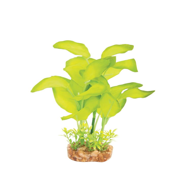 Kazoo Silk Plant Large Leaf Green Medium