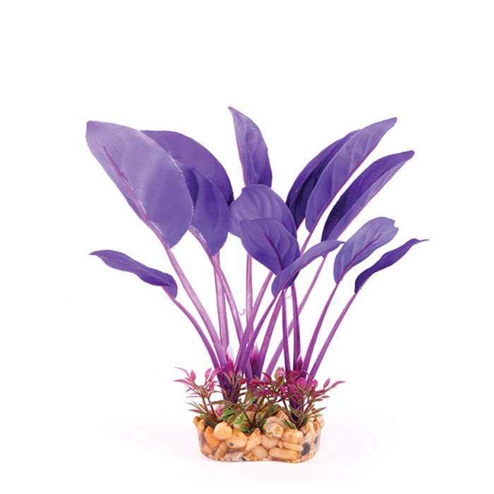 Kazoo Silk Plant Thin Leaf Purple/Orange Medium