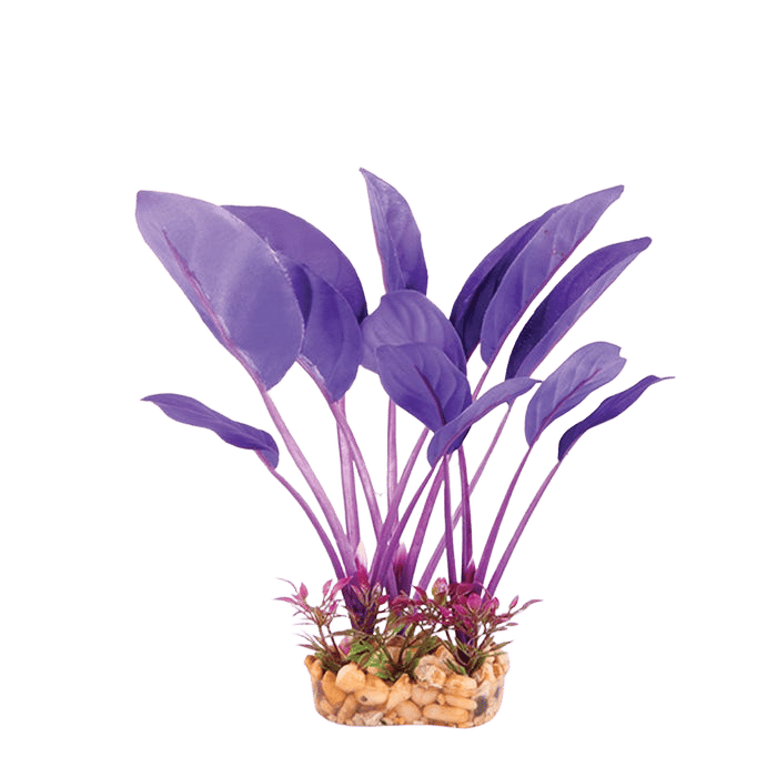 Kazoo Silk Plant Thin Leaf Purple/Orange Medium