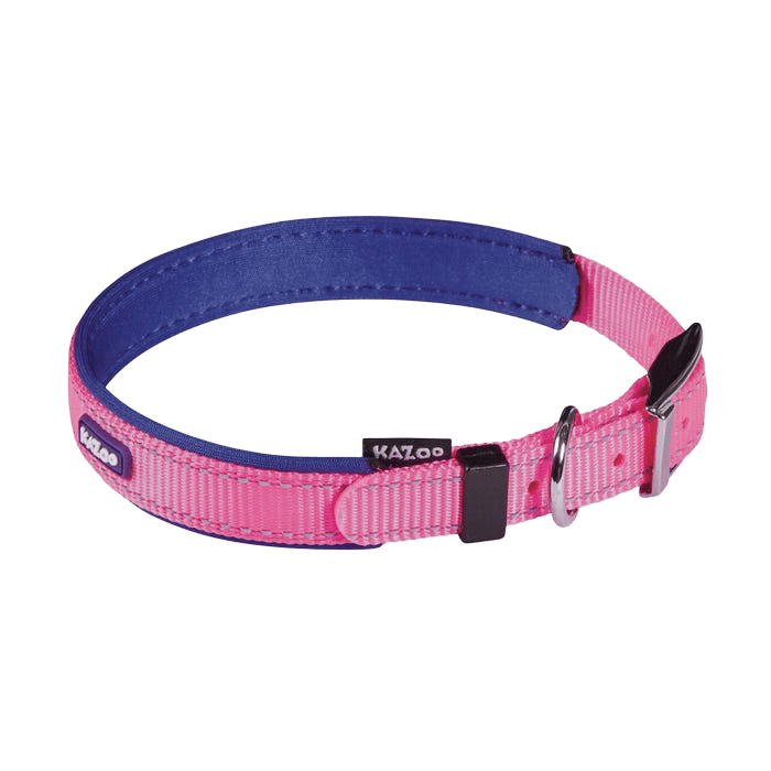 Kazoo Active Collar Bloom Burst XL