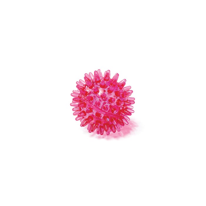 Kazoo Dog Tough Chewing Space Balls S