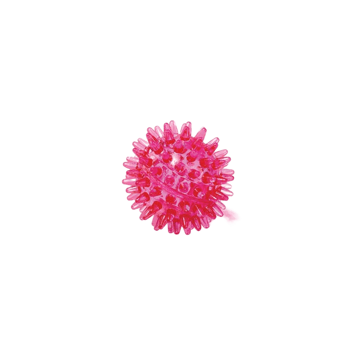 Kazoo Dog Tough Chewing Space Balls S