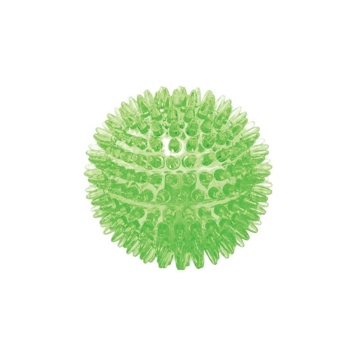 Kazoo Dog Tough Chewing Space Balls M
